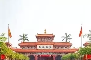 回放里被剪掉的十五秒深度追踪封面
