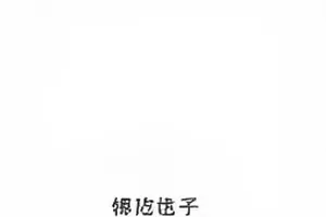 一段被反复引用的录音追踪卡片封面