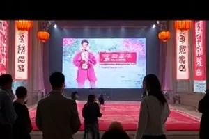 出租屋阳台的第七盆花合集封面